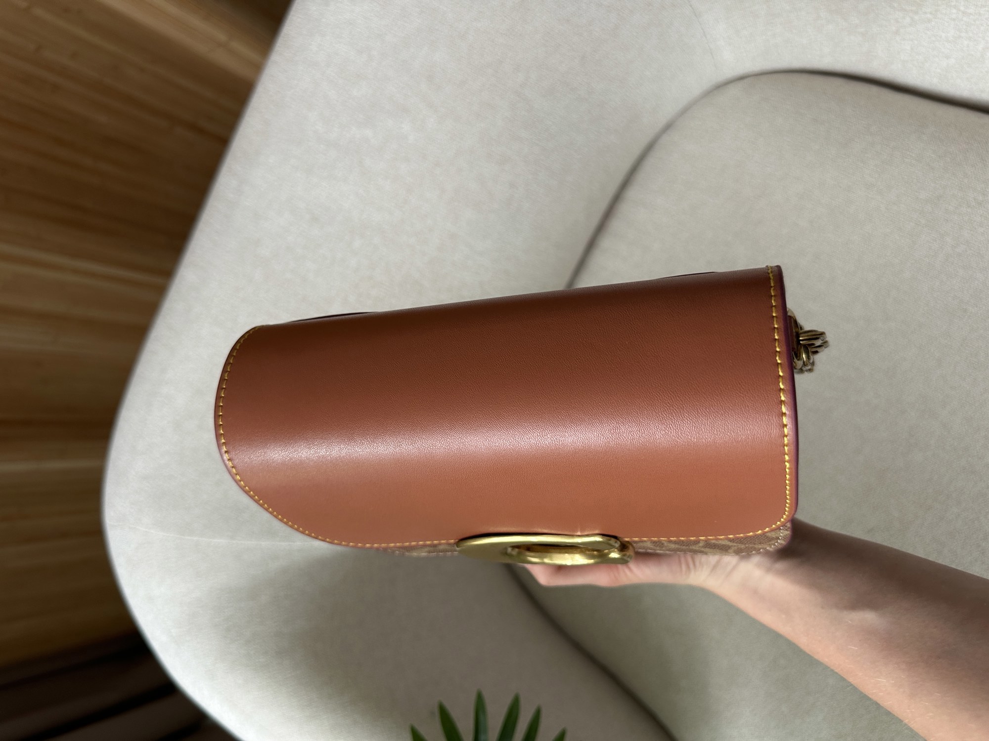 Coach Idol Bag In Signature Canvas With Snakeskin Detail - 13
