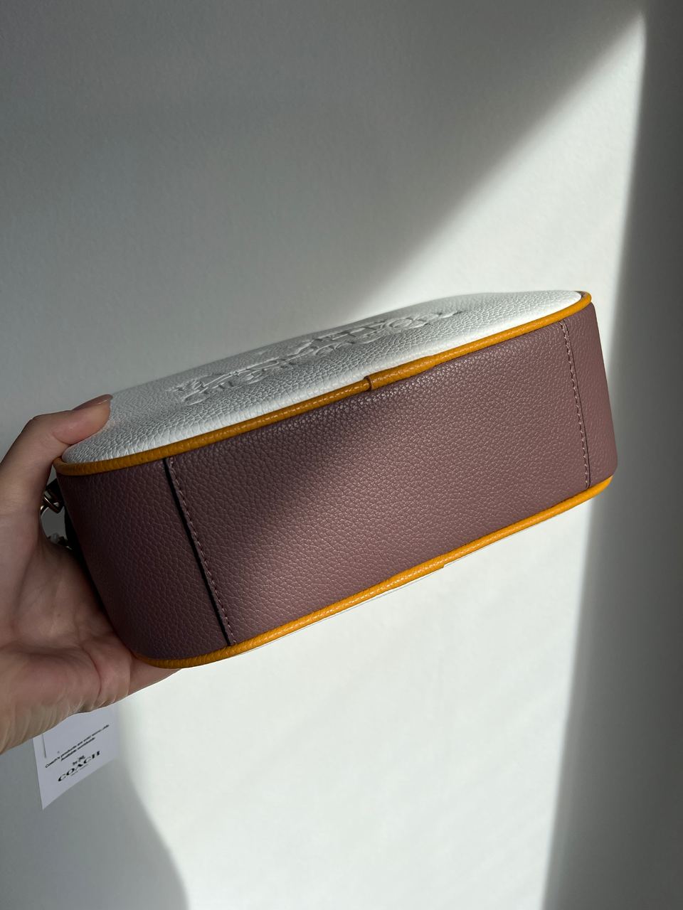 Coach Jes Convertible Belt Bag In Colorblock - 19