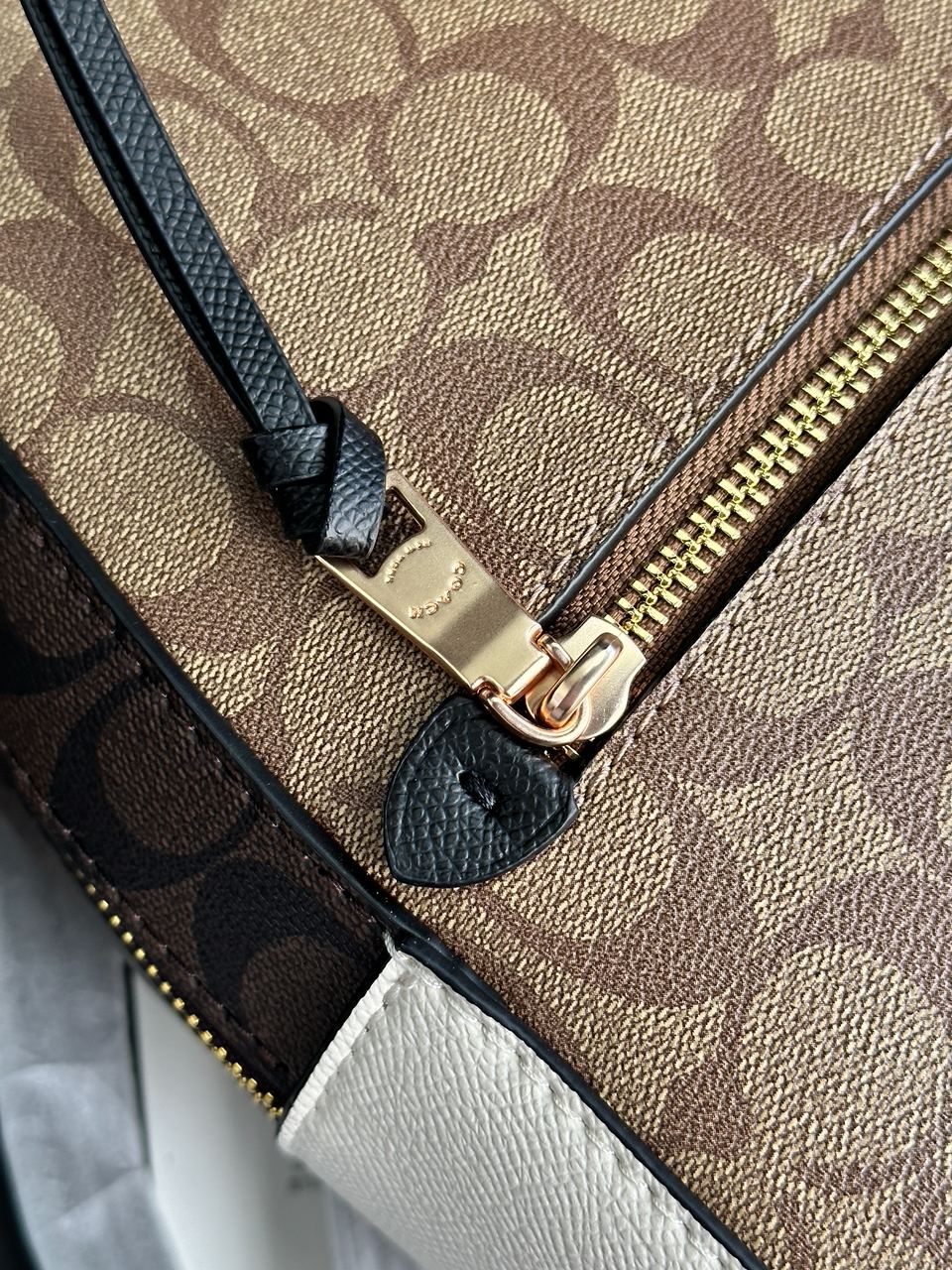 Coach Jordyn Backpack in Signature Canvas - 26