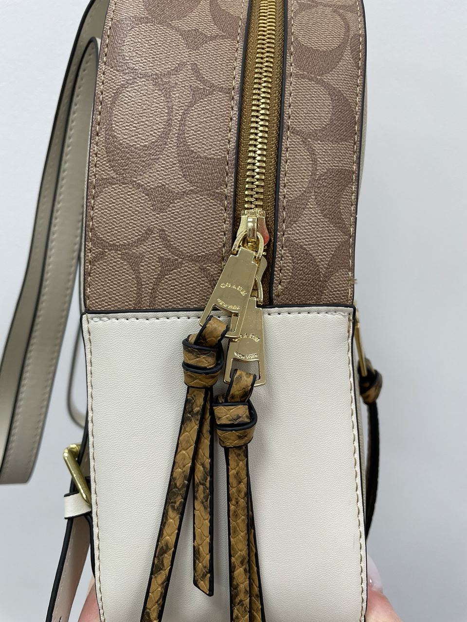 Coach Jordyn Backpack in Signature Canvas - 13