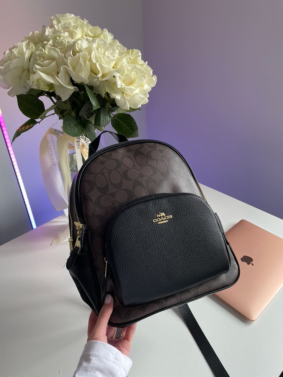 Coach Large Court Backpack In Signature Canvas in Brown/Black - 6