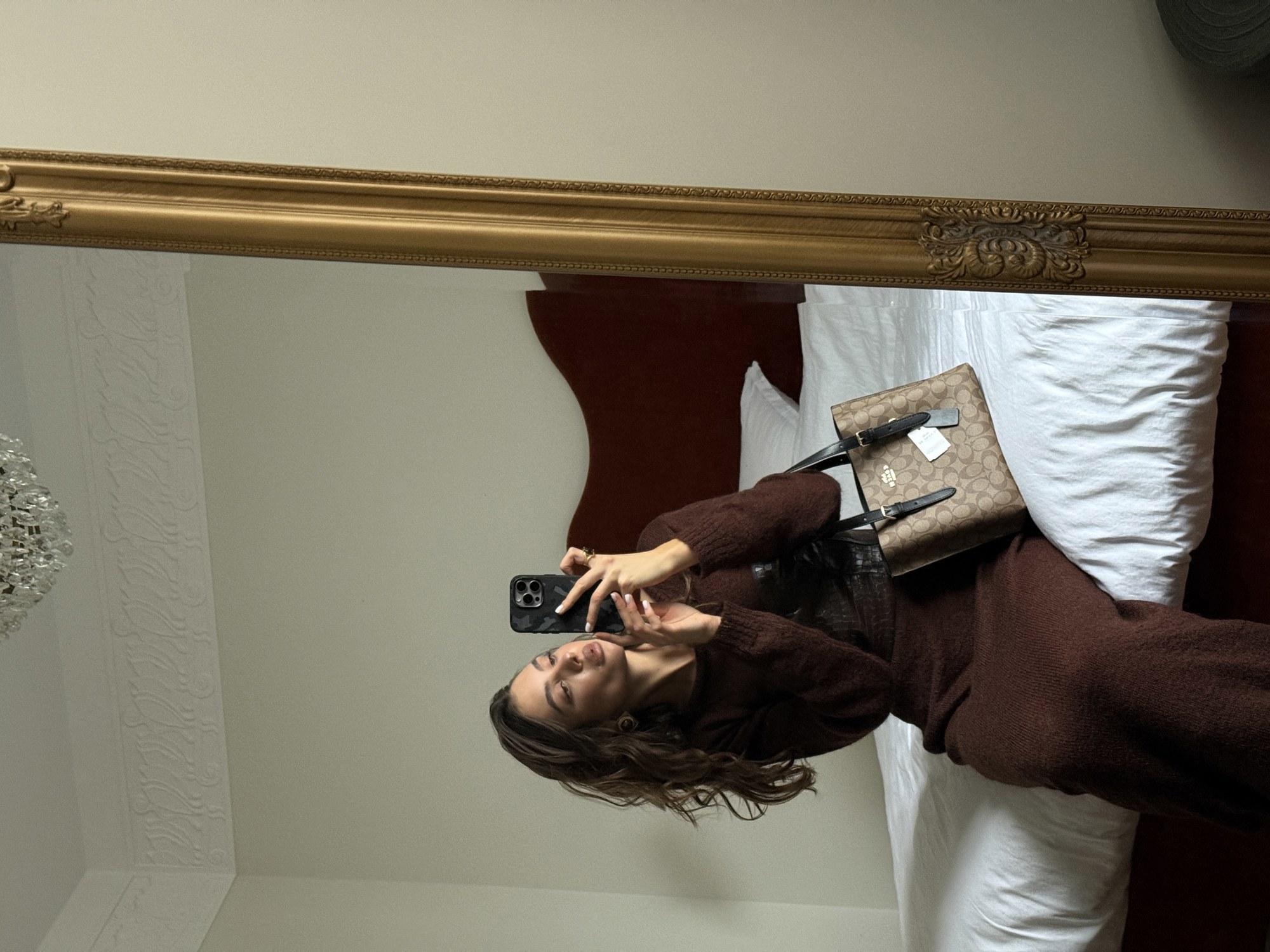 Coach Mollie Tote Bag 25 In Signature Canvas Brown/Black - 6