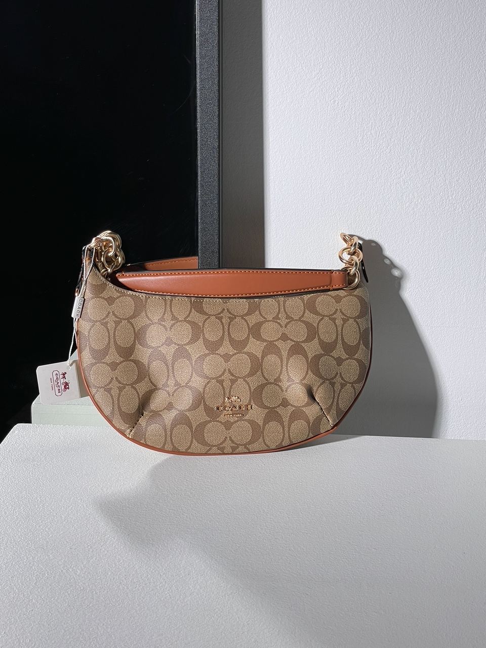 Coach Payton Hobo In Signature Canvas in Beige - 6