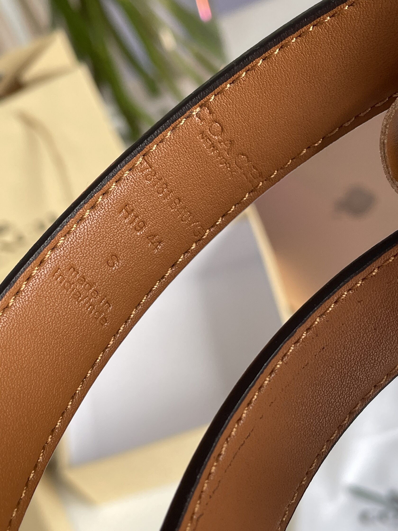 Coach Sculpted C Buckle Belt Beige - 9