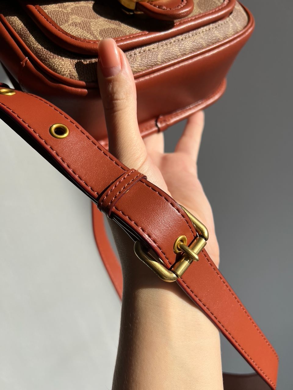 Coach Tabby Messenger In Signature Canvas - 32