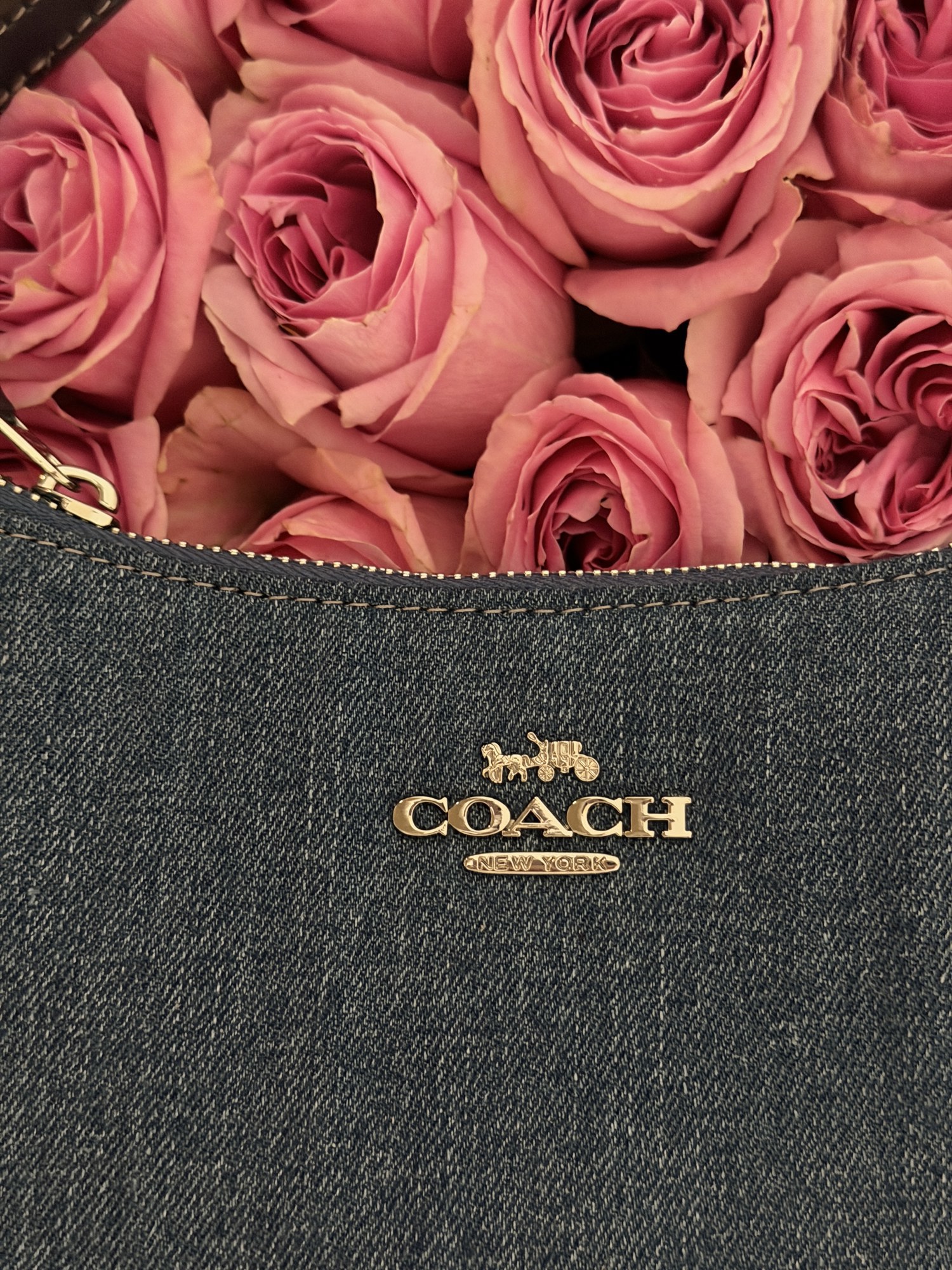 Coach Teri Shoulder Bag Denim/Silver - 14