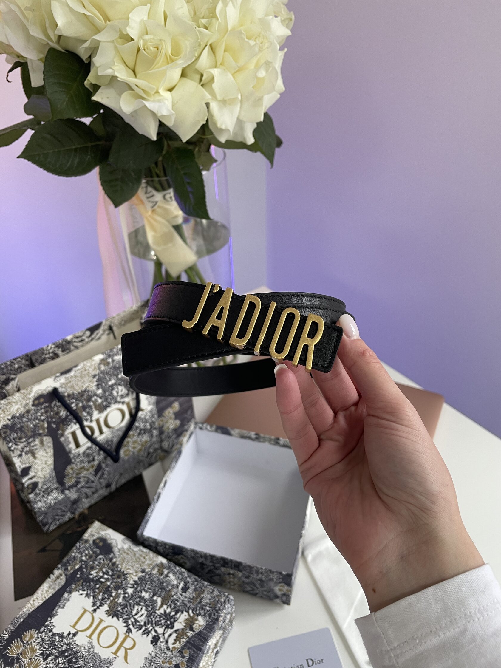 Dior JA-D-Fence Belt Black Smooth Calfskin - 5