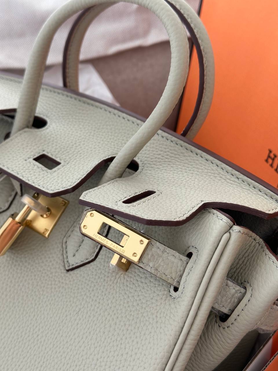 Hermes Birkin 25 Sauge - 5