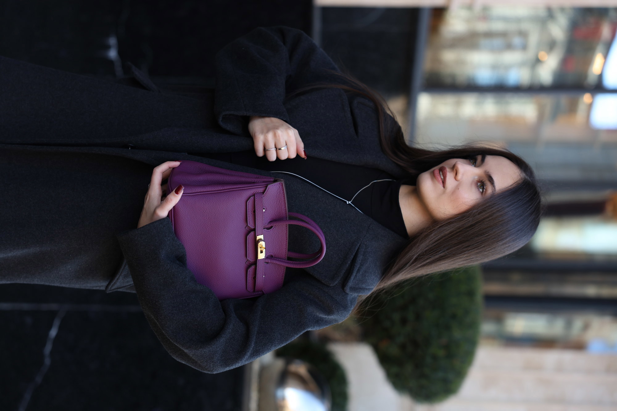 Hermes Birkin 25 Togo Cassis/Gold - 8