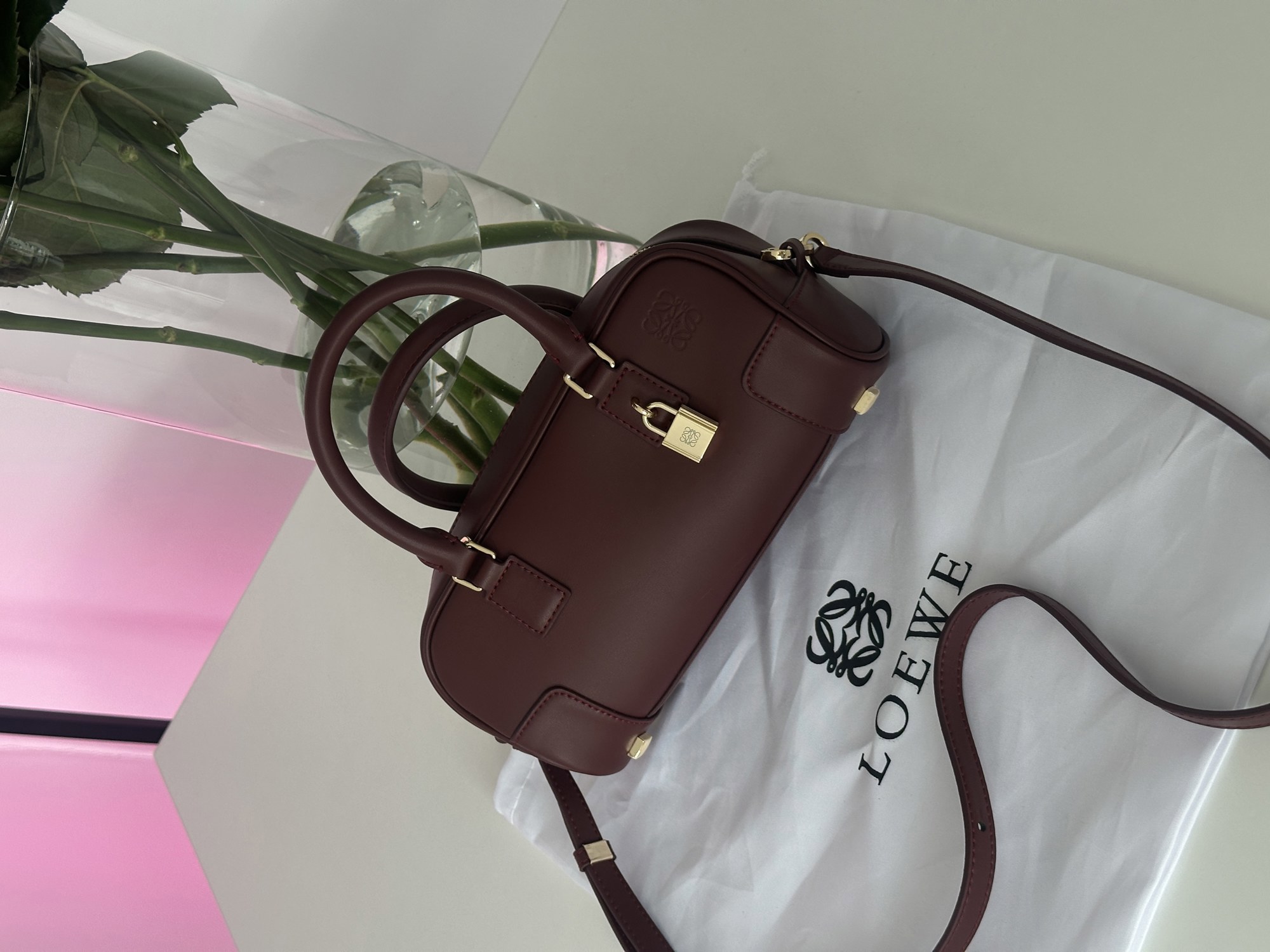 Loewe Amazona 23 Cropped Bag in Nappa Calfskin Burgundy - 10