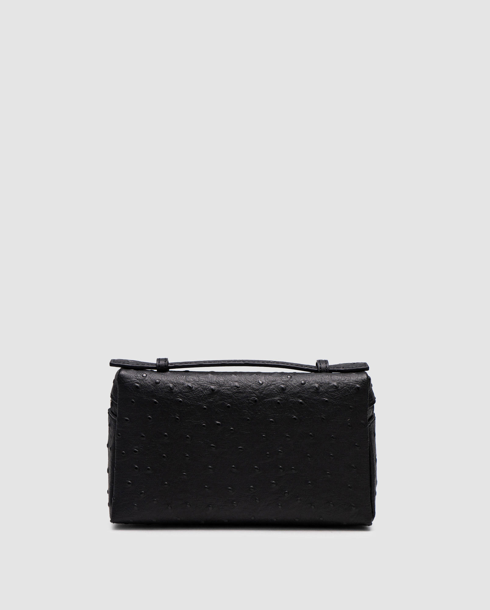 Loro Piana Extra Bag 19 Ostrich Leather Black - 2