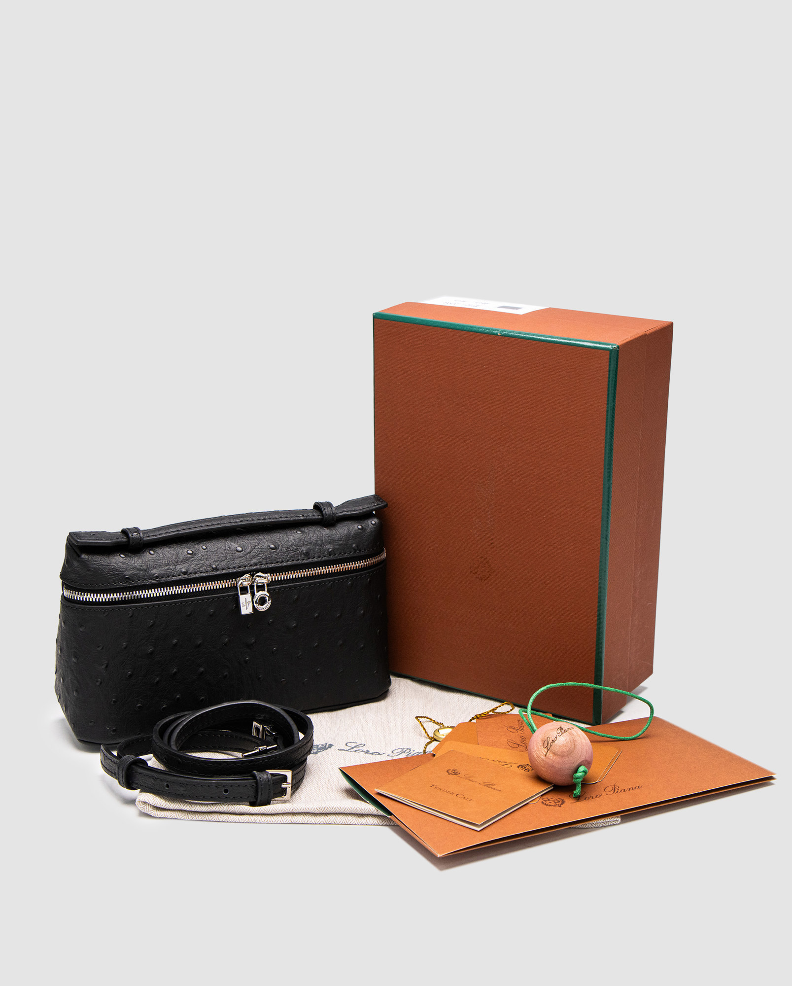 Loro Piana Extra Bag 19 Ostrich Leather Black - 5