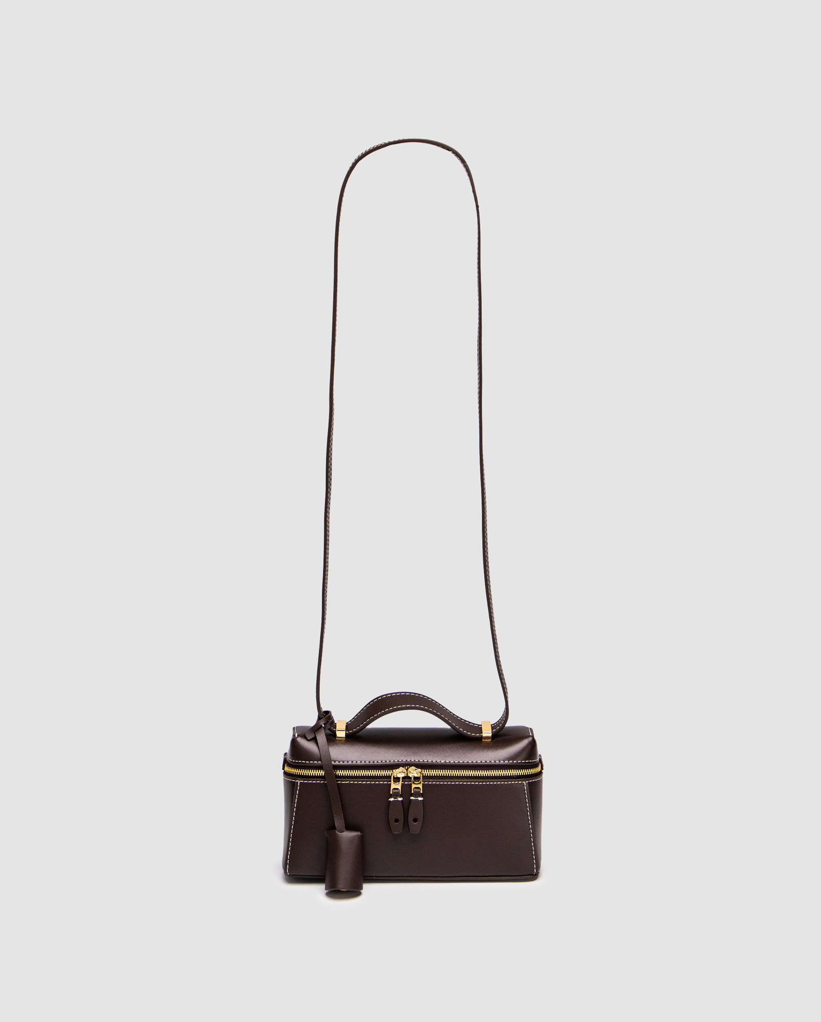 Loro Piana Extra Bag L19 Chocolate Leather - 3