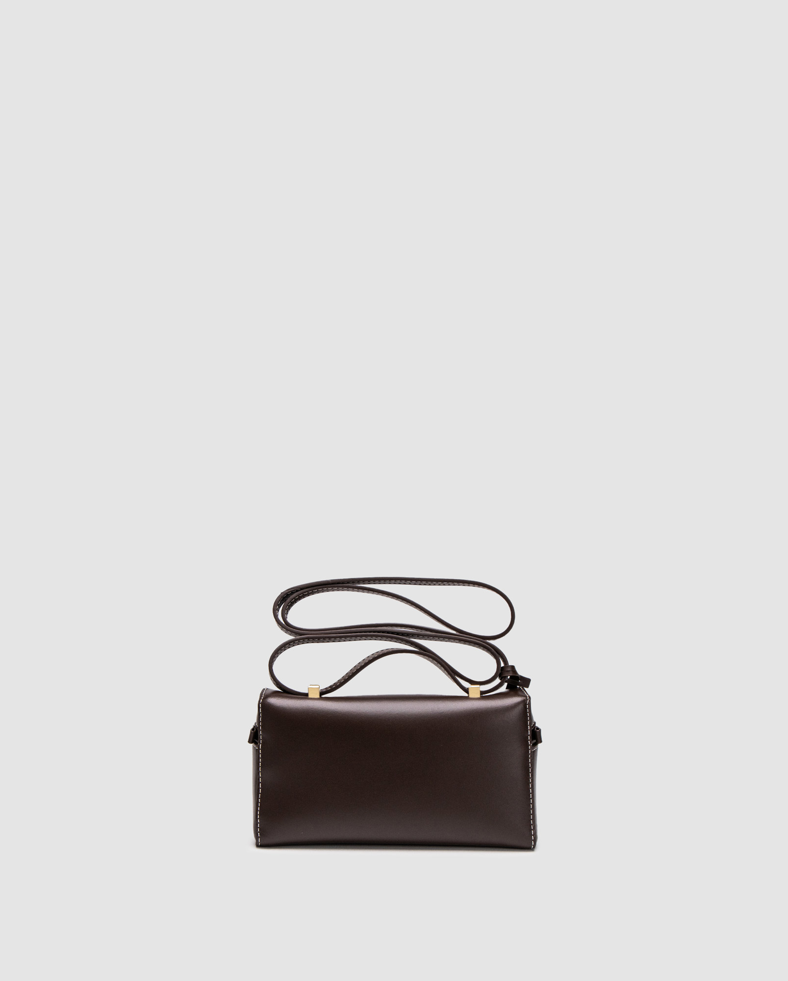 Loro Piana Extra Bag L19 Chocolate Leather - 2