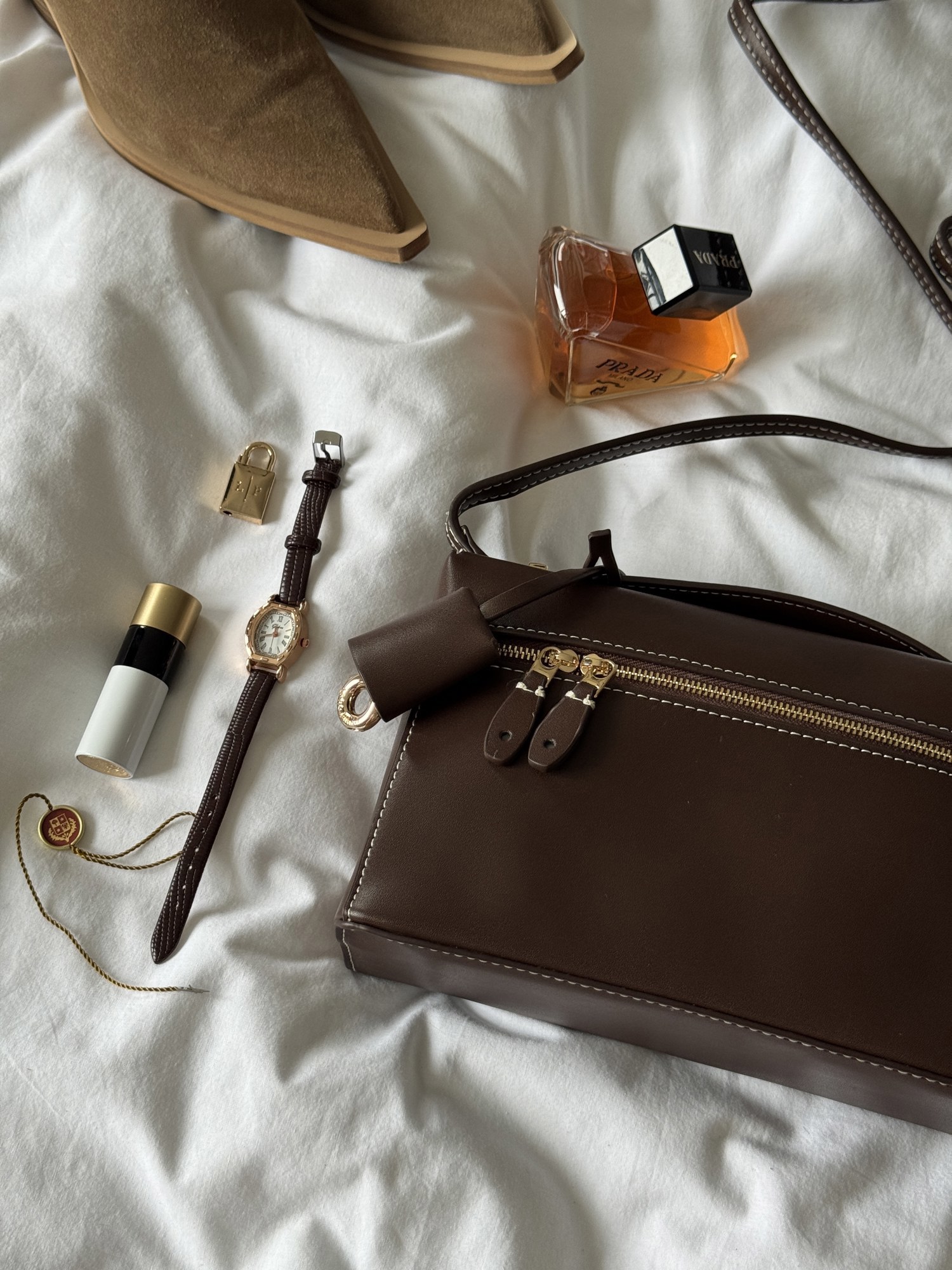 Loro Piana Extra Bag L27 Brown - 3