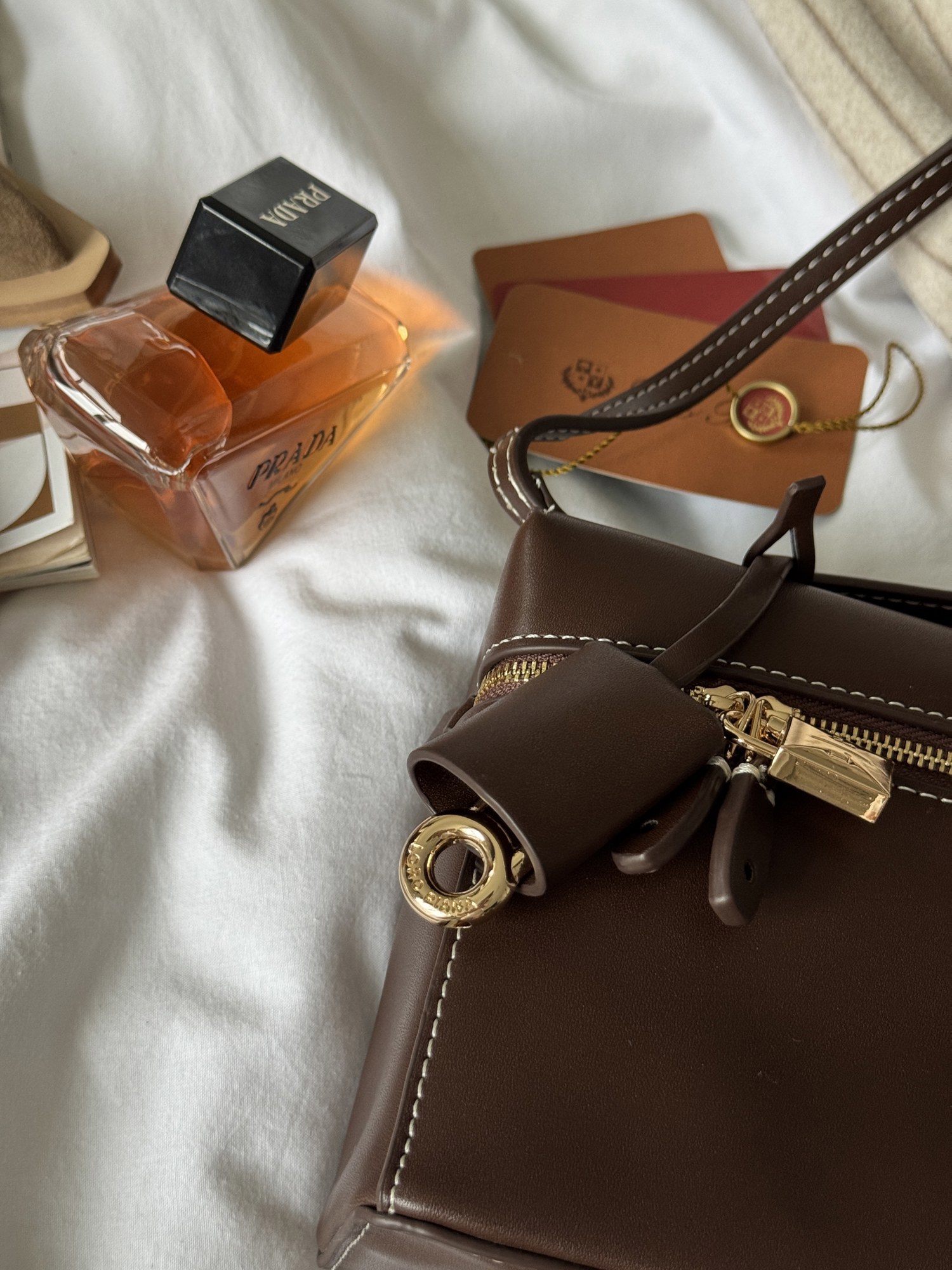 Loro Piana Extra Bag L27 Brown - 9