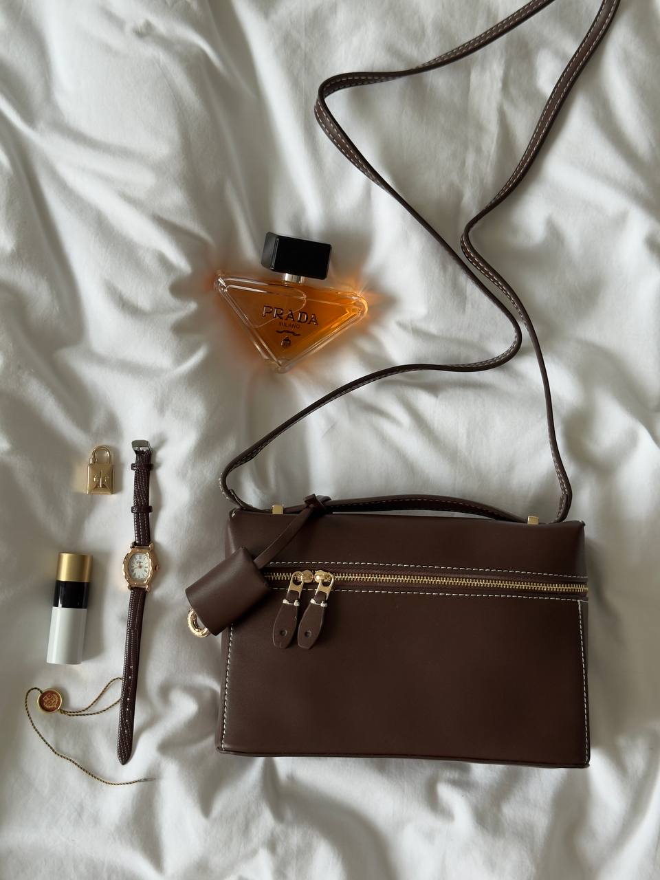 Loro Piana Extra Bag L27 Smooth Calfskin Brown - 5