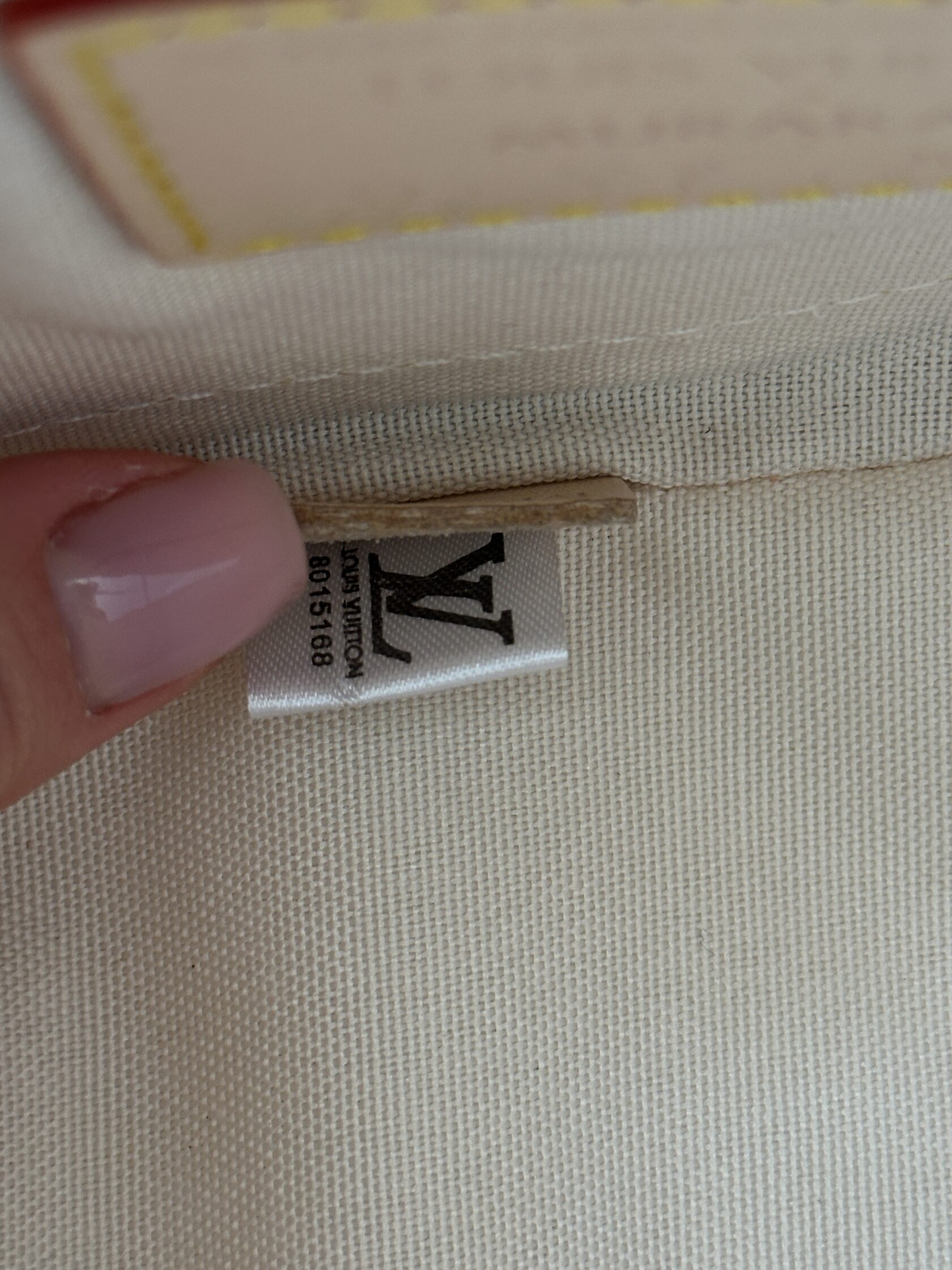 Louis Vuitton LV x TM Nano Alma Monogram Multicolor - 24