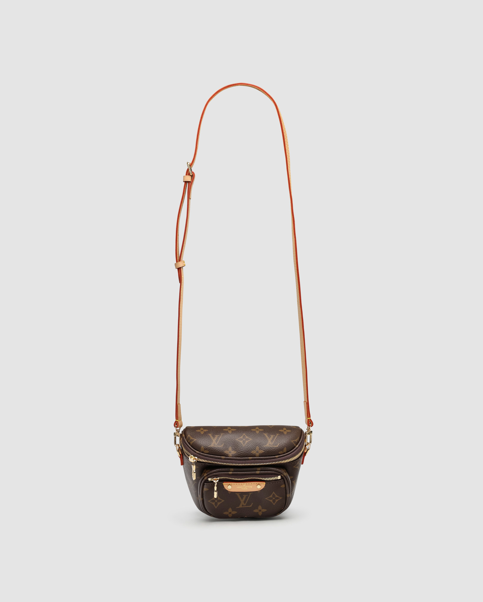 Louis Vuitton Mini Bumbag Monogram Canvas - 3