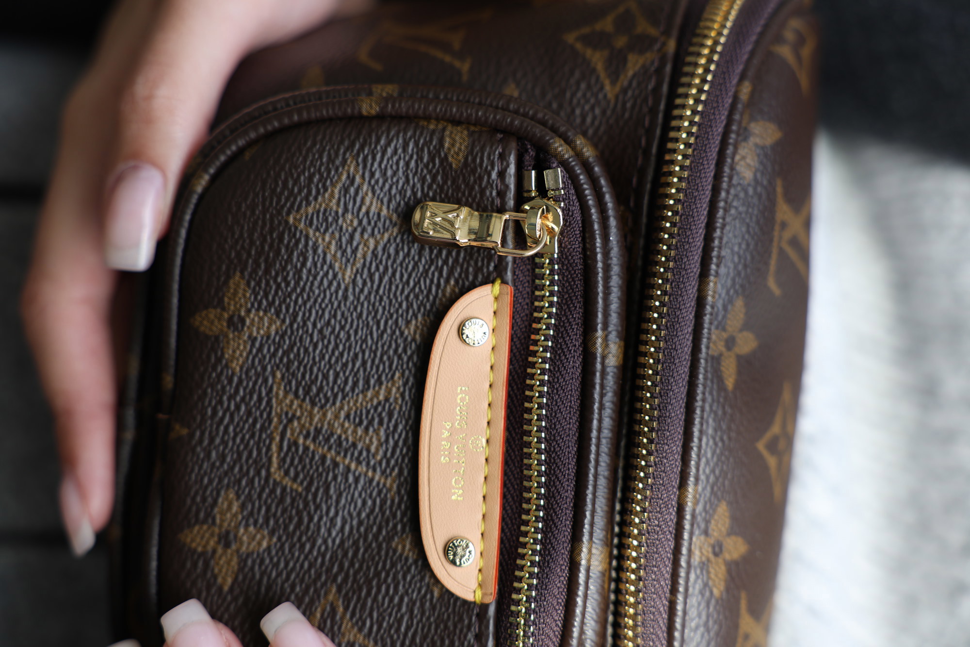 Louis Vuitton Mini Bumbag Monogram Canvas - 9