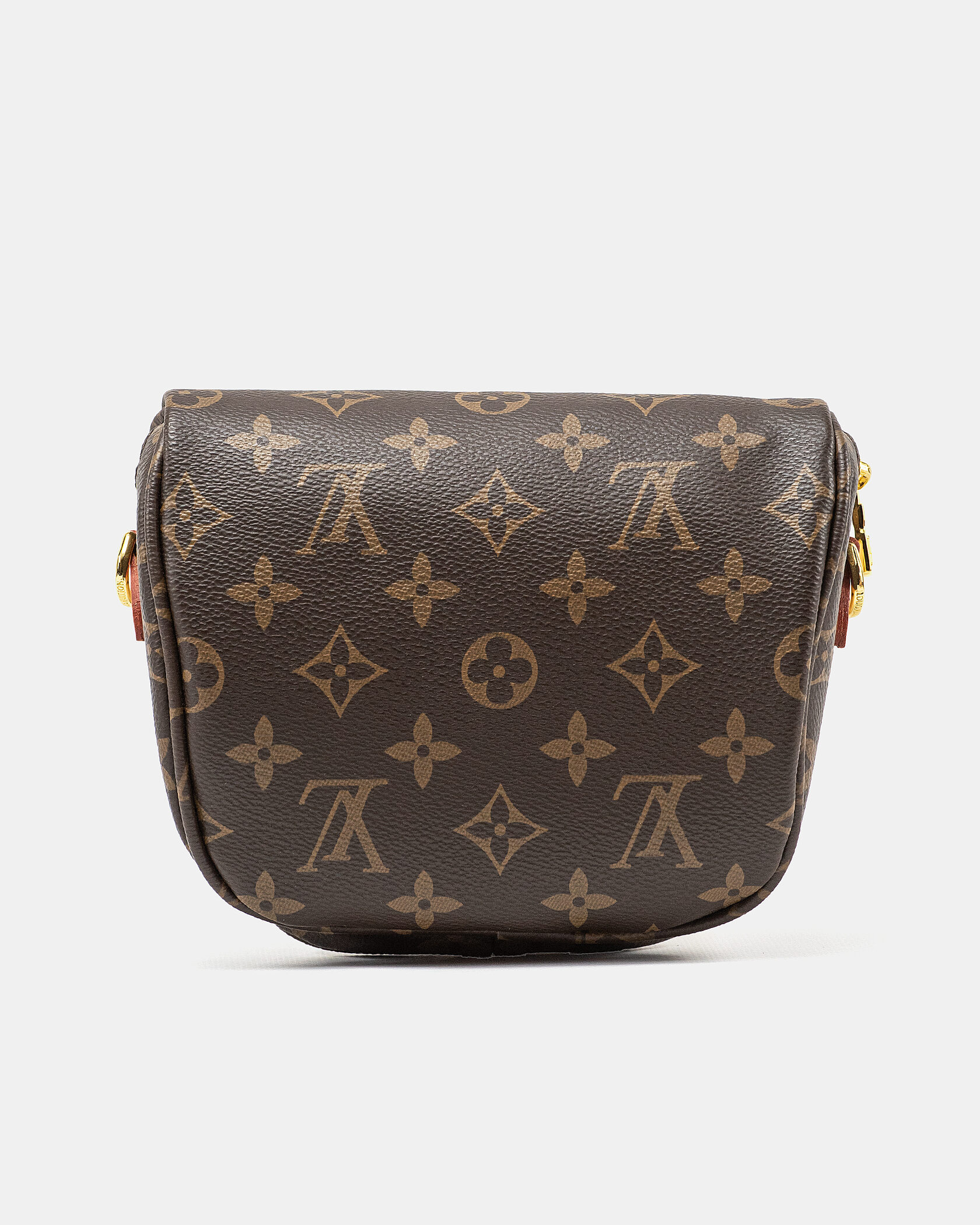 Louis Vuitton Mini Bumbag Monogram Canvas - 11
