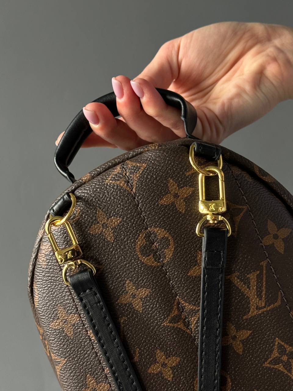 Louis Vuitton Palm Springs Mini Backpack in Monogram Canvas - 10