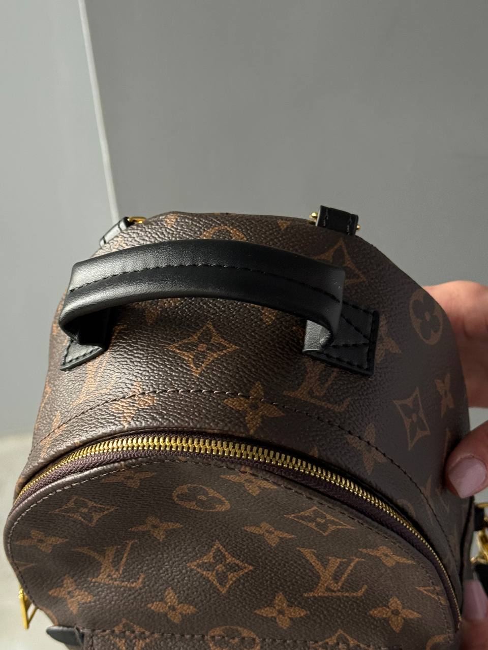 Louis Vuitton Palm Springs Mini Backpack in Monogram Canvas - 11