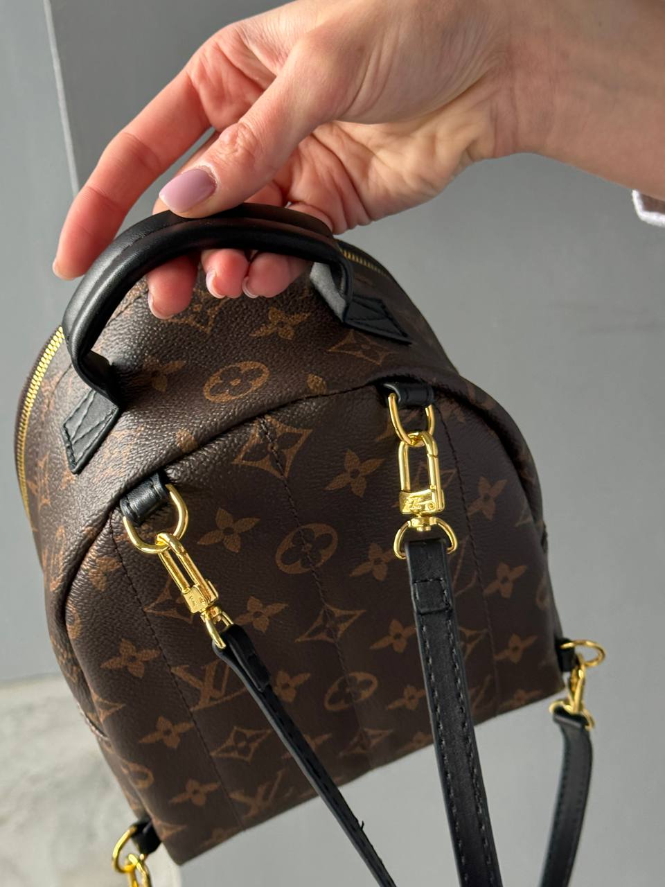 Louis Vuitton Palm Springs Mini Backpack in Monogram Canvas - 8