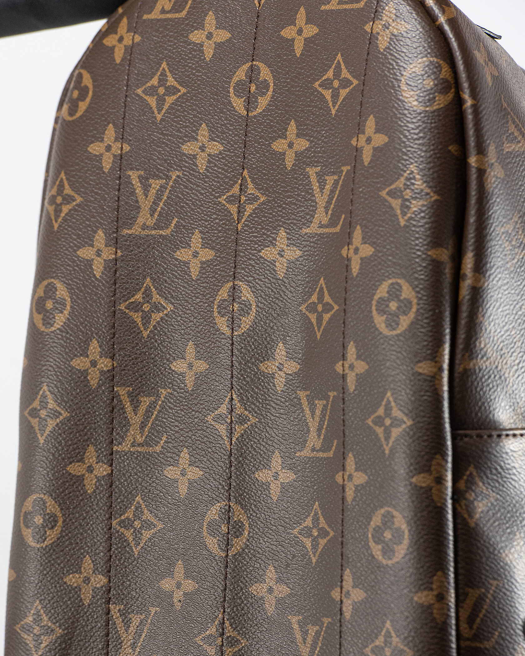 Louis Vuitton Palm Springs PM Brown/Black - 11