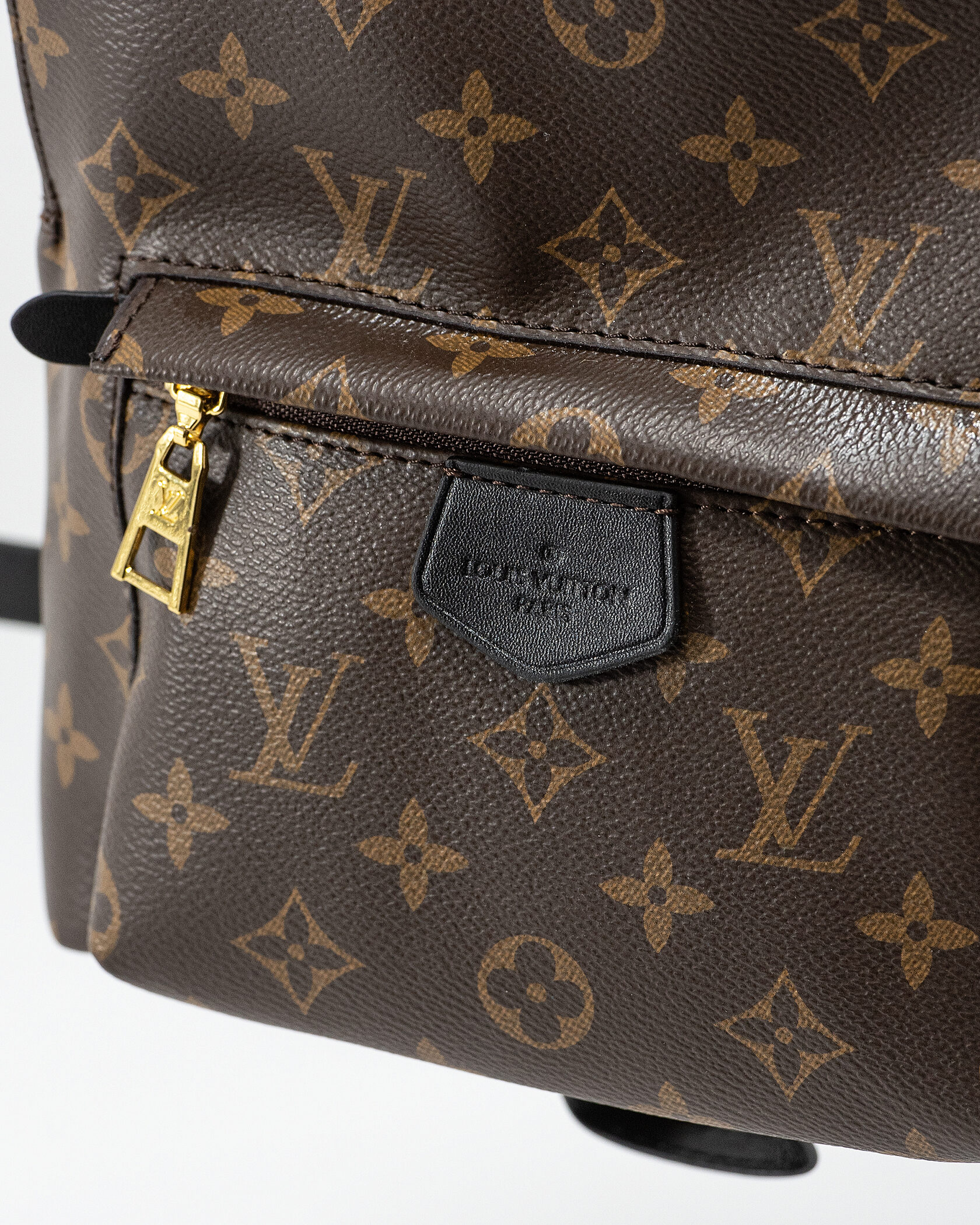 Louis Vuitton Palm Springs PM Brown/Black - 12