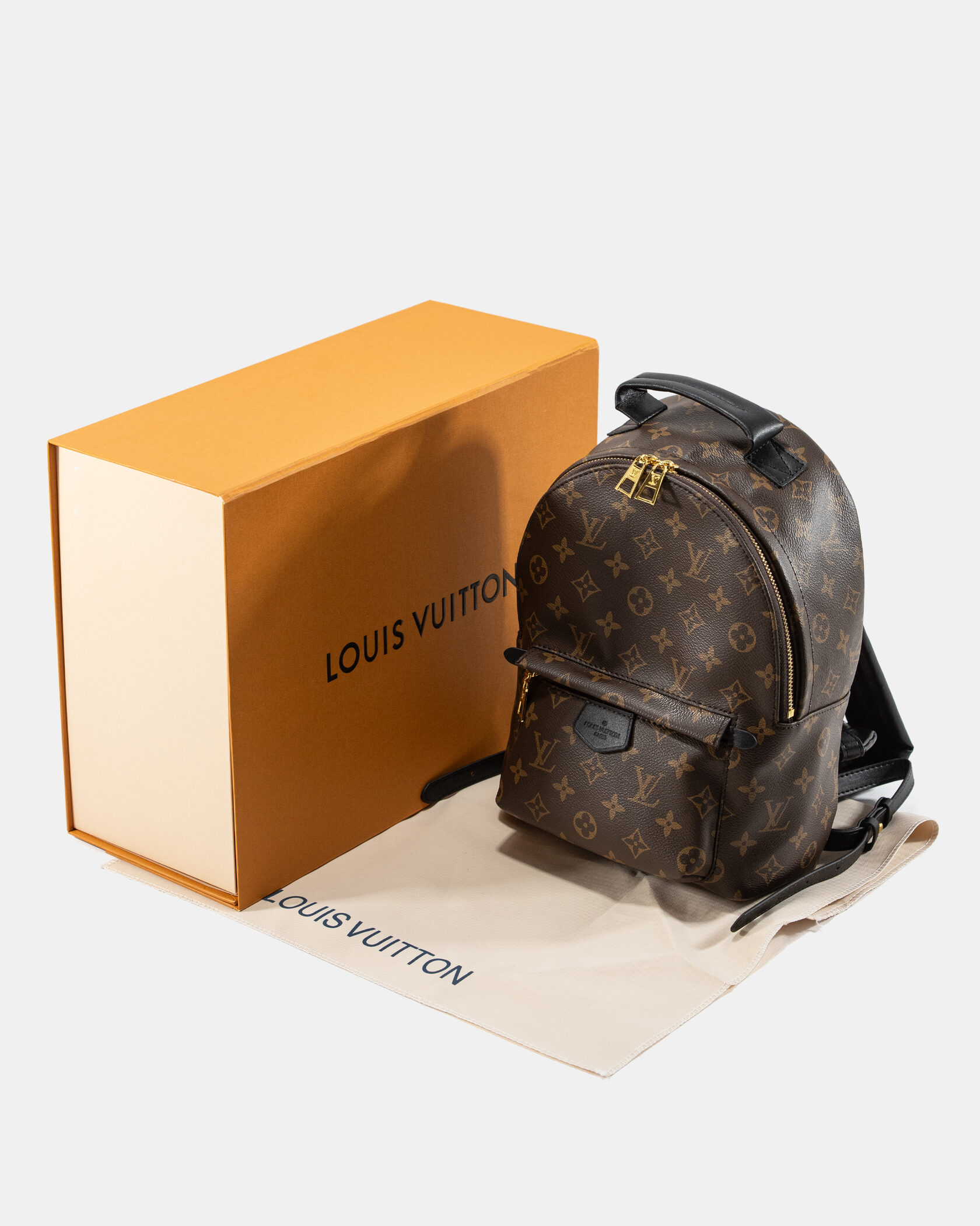 Louis Vuitton Palm Springs PM Brown/Black - 2