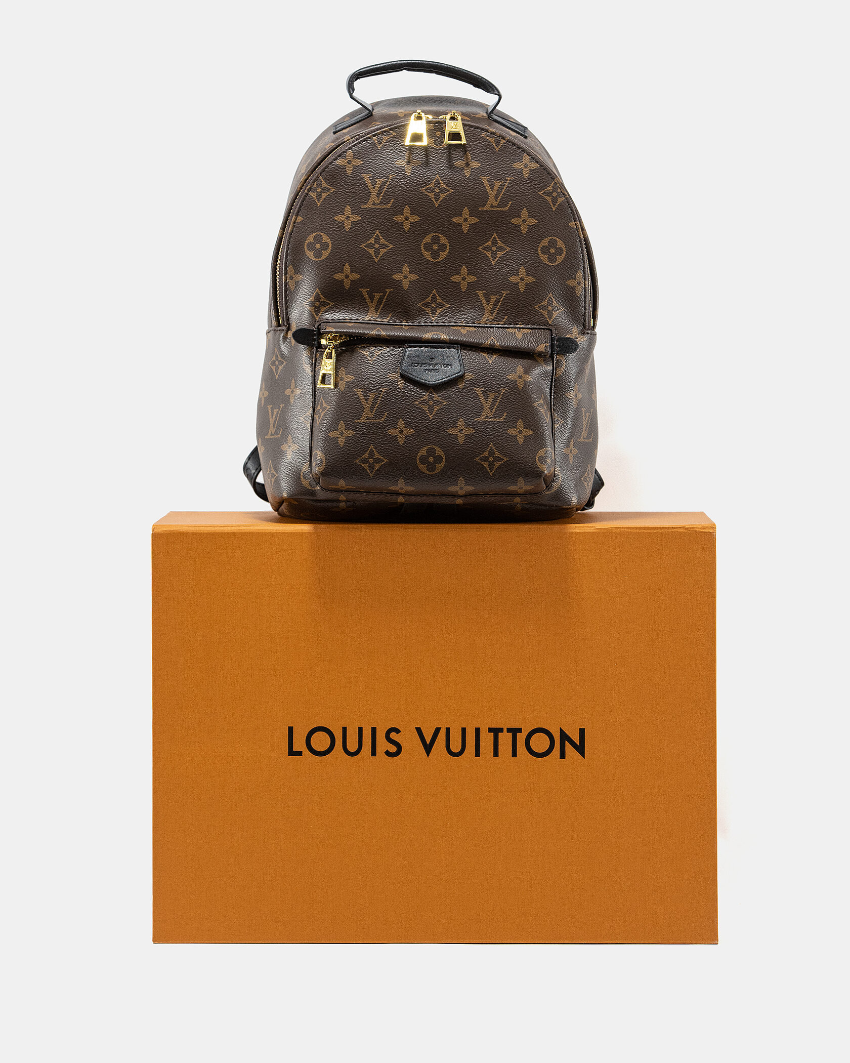 Louis Vuitton Palm Springs PM Brown/Black - 4