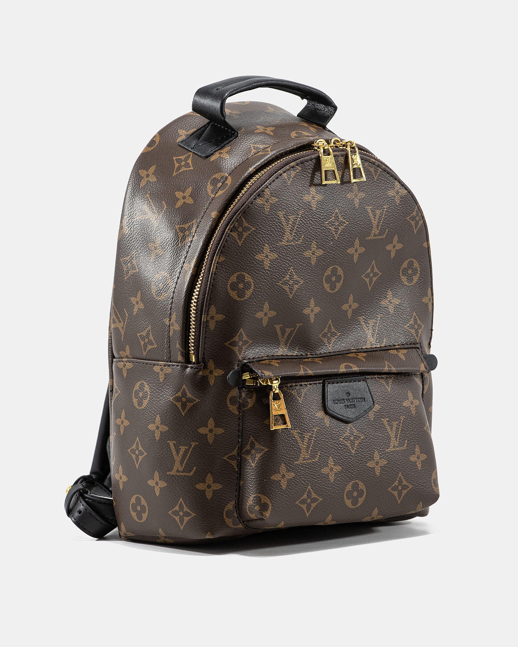 Louis Vuitton Palm Springs PM Brown/Black - 5