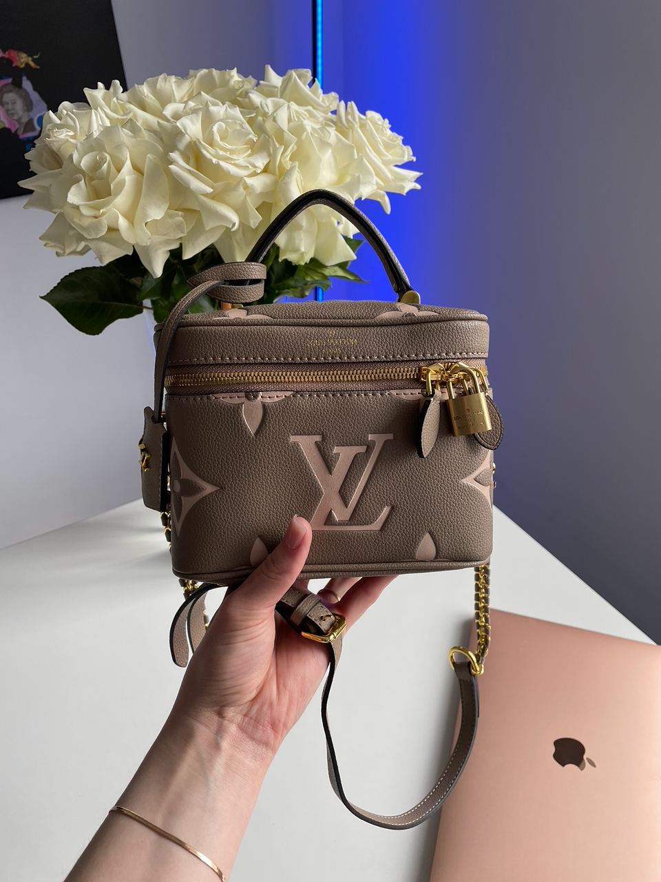 Louis Vuitton Vanity PM Bag Grey/Boise de Rose - 5