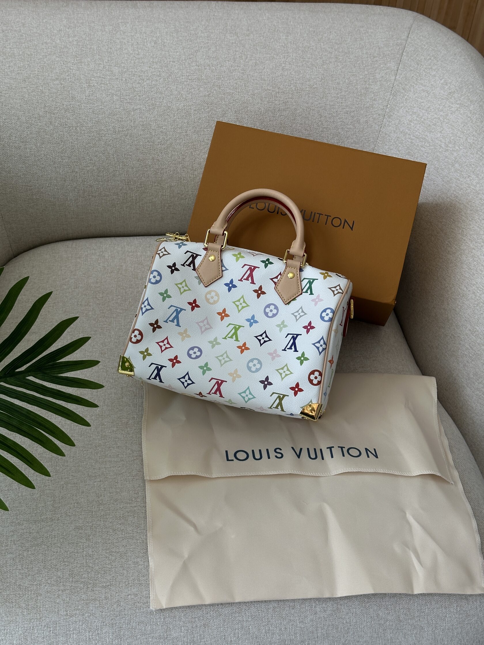 Louis Vuitton x Murakami Takashi Speedy Bandouliere 25 Multicol - 6