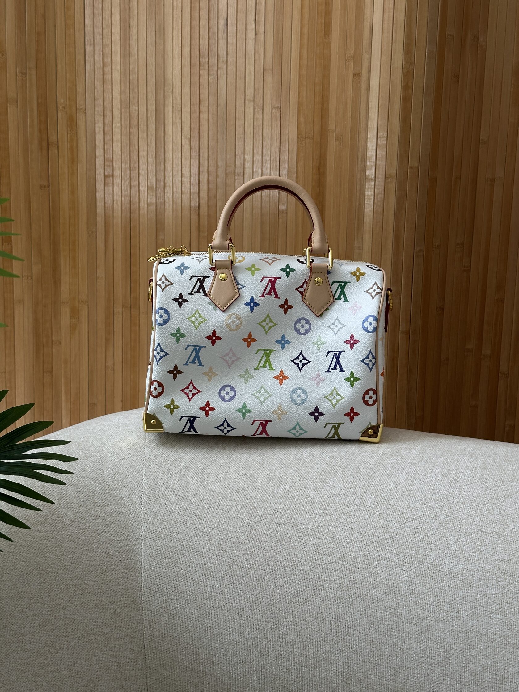 Louis Vuitton x Murakami Takashi Speedy Bandouliere 25 Multicol - 7