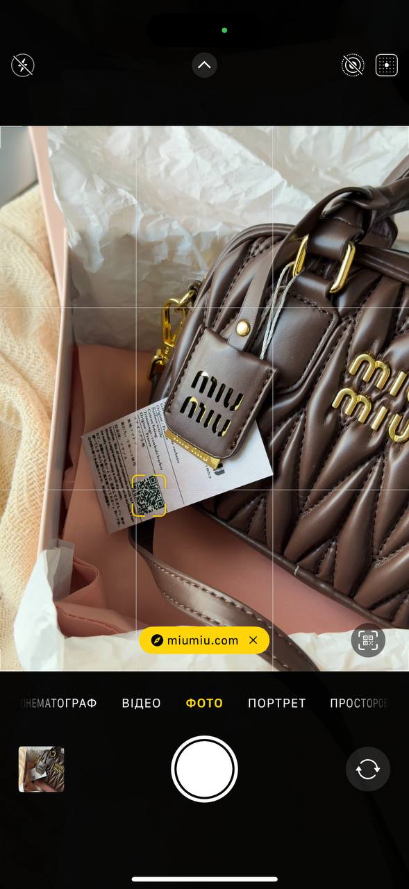 Miu Miu Arcadie Matelassé Nappa Leather Bag - 7