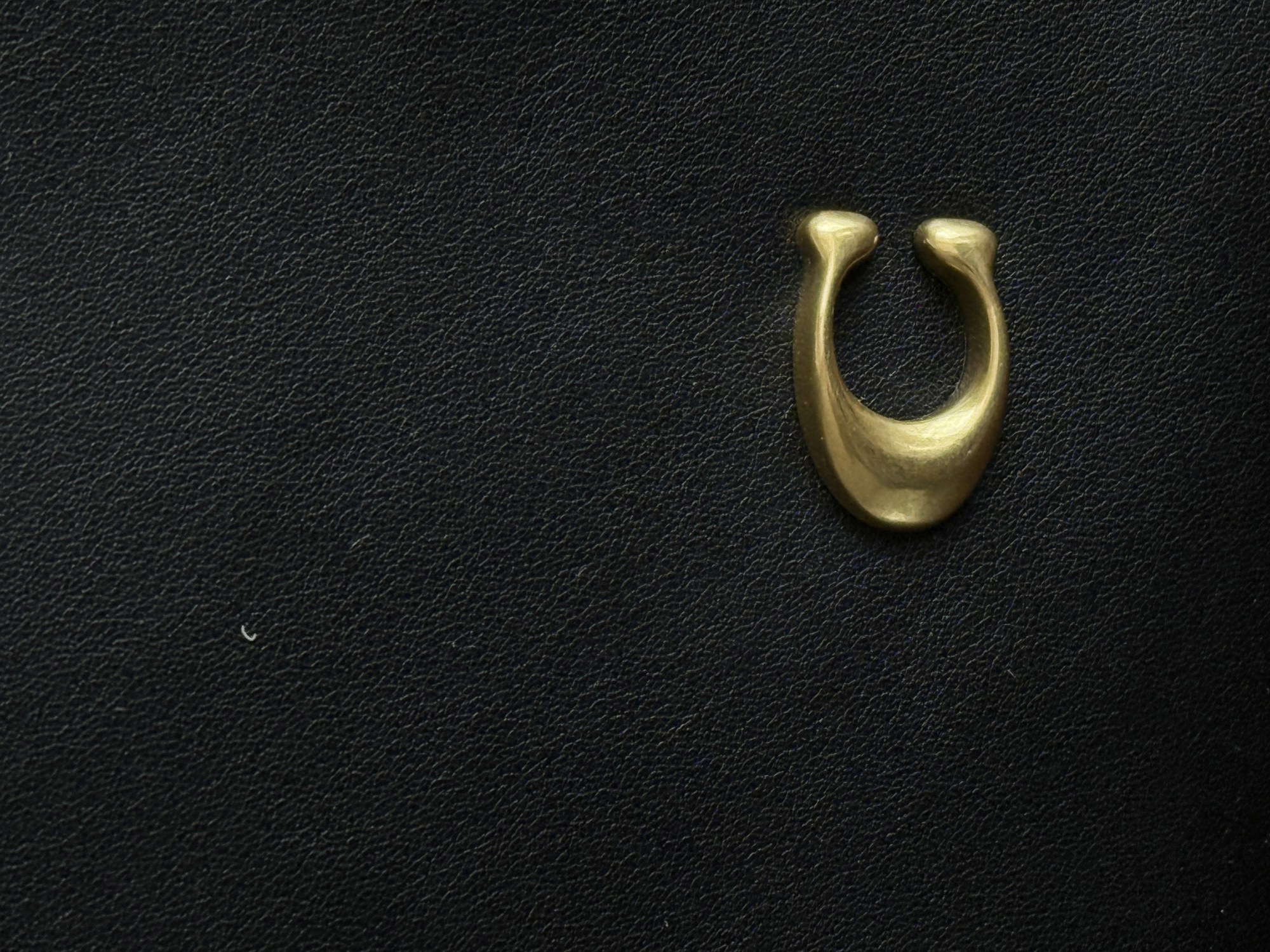 Сoach North Tote Black[оригінальна коробка] - 14
